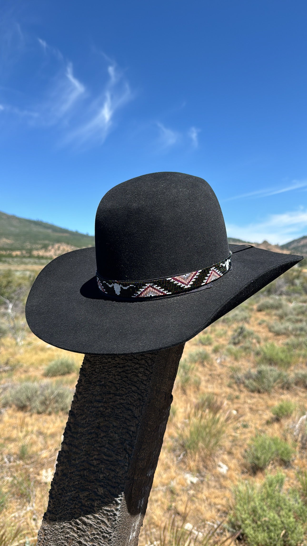 Longhorn Pattern Beaded Hatband